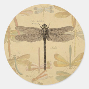 Libelle Vintage Antik Klassik Natur Runder Aufkleber
