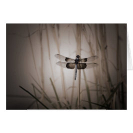 Libelle - Vintager Blick