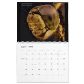 Libellen 2022 kalender (Mär 2026)