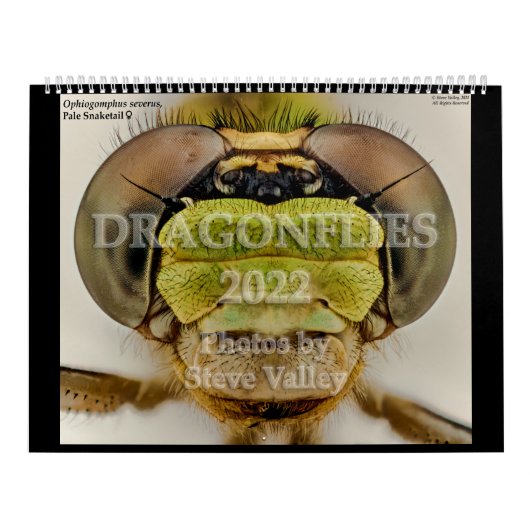 Libellen 2022 kalender (Titelbild)
