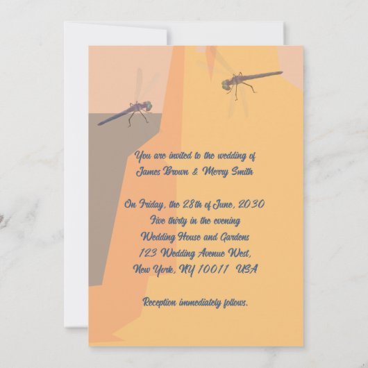 Libellen als Flugzeug Kletterburg Hochzeit Einladung (Rückseite)