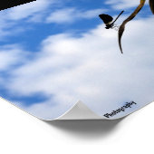 Libellen am blauen Himmel Poster (Ecke)