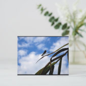 Libellen am blauen Himmel Postkarte (Stehend Vorderseite)