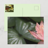 Libellen auf einem Vorstadtteich Ankündigungspostkarte (Vorne/Hinten)