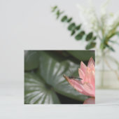 Libellen auf einem Vorstadtteich Ankündigungspostkarte (Stehend Vorderseite)