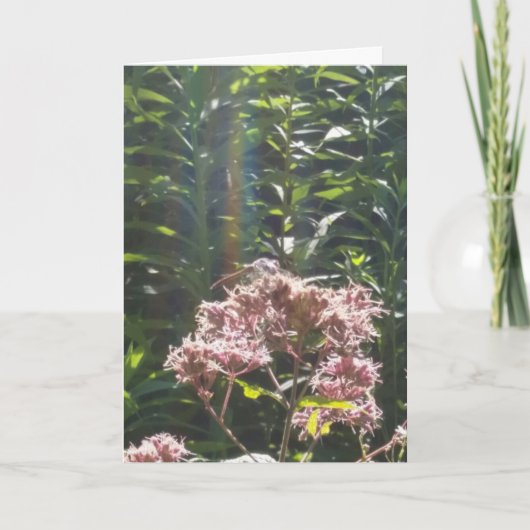 Libellen-Beileidskarte Karte (Vorderseite)