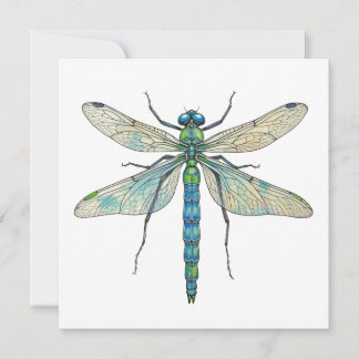 Libellen Botanische Kunst Insektenliebhaber Naturf Karte