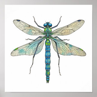 Libellen Botanische Kunst Insektenliebhaber Naturf Poster