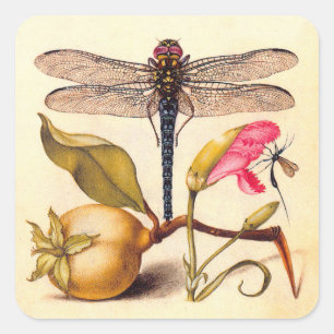Libellen-Botanische-Natur-Wildlife-Hoefnagel-Kunst Quadratischer Aufkleber