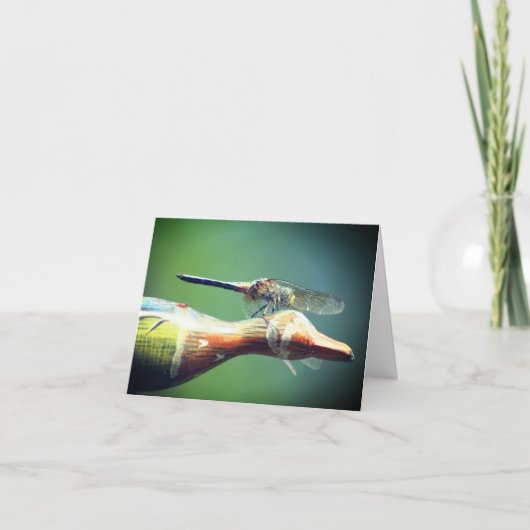Libellen-Co-Pilot Naturfotografie  (Vorderseite)