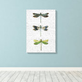 Libellen drucken 3 leinwanddruck (Insitu (Holzboden))