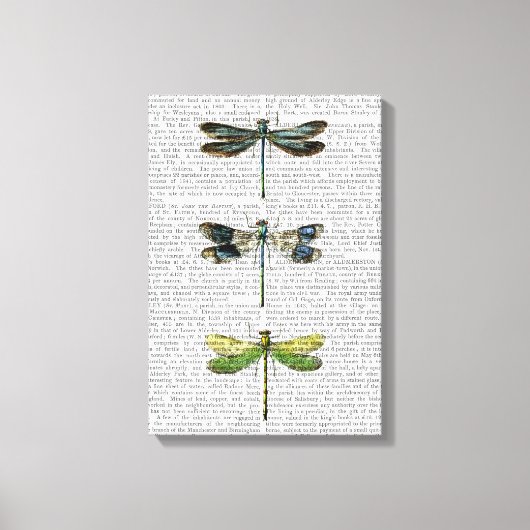 Libellen drucken 3 leinwanddruck (Vorderseite)