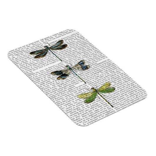 Libellen drucken 3 magnet (Rechte Seite)