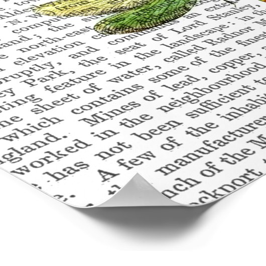 Libellen drucken 3 poster (Ecke)