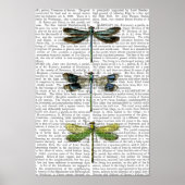 Libellen drucken 3 poster (Vorne)