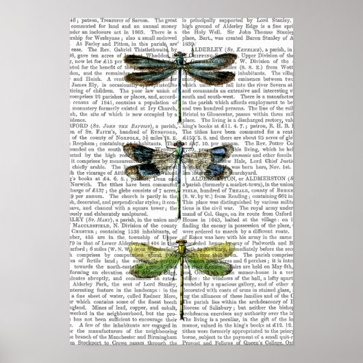 Libellen drucken 3 poster (Vorne)