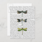 Libellen drucken 3 postkarte (Vorne/Hinten)