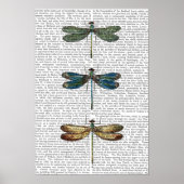 Libellen drucken poster (Vorne)