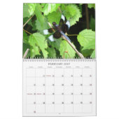 Libellen - Edelsteine des Kalenders der Luft-2013 Kalender (Feb 2027)