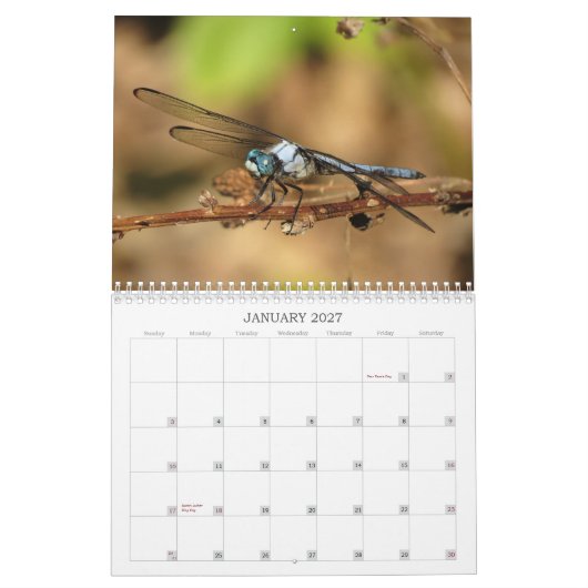 Libellen - Edelsteine des Kalenders der Luft-2013 Kalender (Jan 2027)
