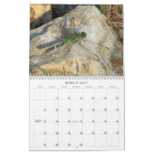 Libellen - Edelsteine des Kalenders der Luft-2013 Kalender (Mär 2027)