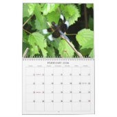 Libellen - Edelsteine des Kalenders der Luft-2013 Kalender (Feb 2026)