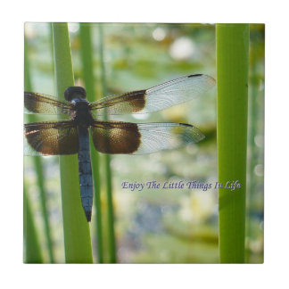 Libellen-Fliese Fliese