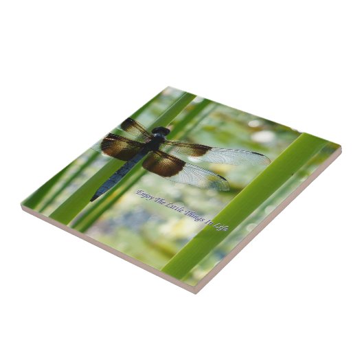 Libellen-Fliese Fliese (Seite)