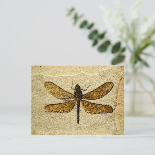 Libellen-Fossil-Postkarte Postkarte (Stehend Vorderseite)