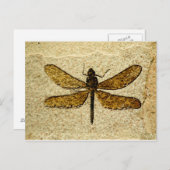 Libellen-Fossil-Postkarte Postkarte (Vorne/Hinten)