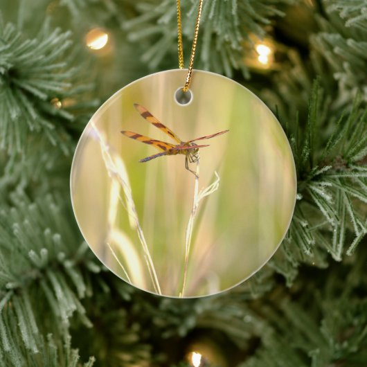 Libellen-Foto-Schmuck Keramik Ornament (Baum)