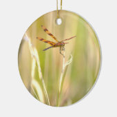 Libellen-Foto-Schmuck Keramik Ornament (Links)