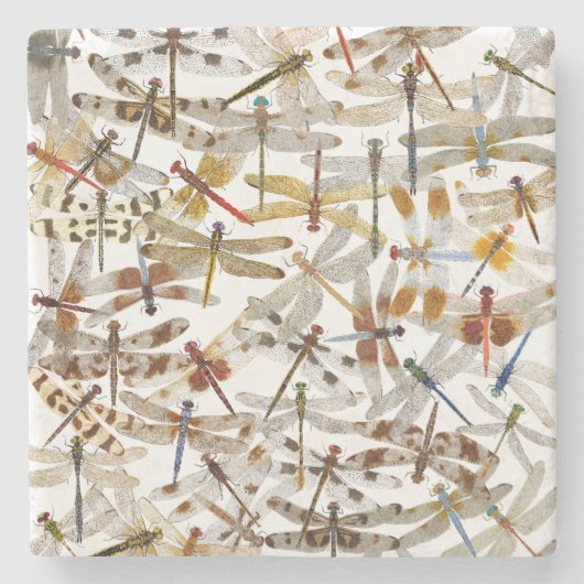 Libellen Galore! Untersetzer (Vorderseite)