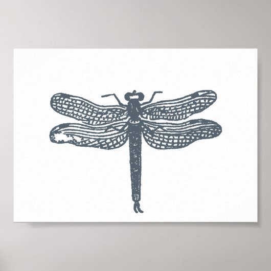 Libellen Grau Druck Poster (Vorne)
