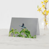 Libellen-Grußkarte Karte (Gelbe Blume)