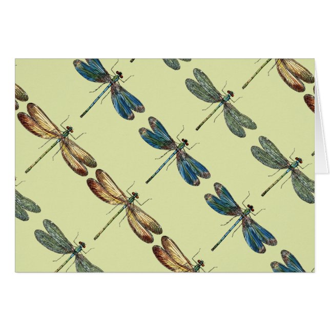 Libellen-Illustrationen (Vorderseite (Horizontal))