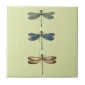 Libellen-Illustrationen Fliese (Vorderseite)