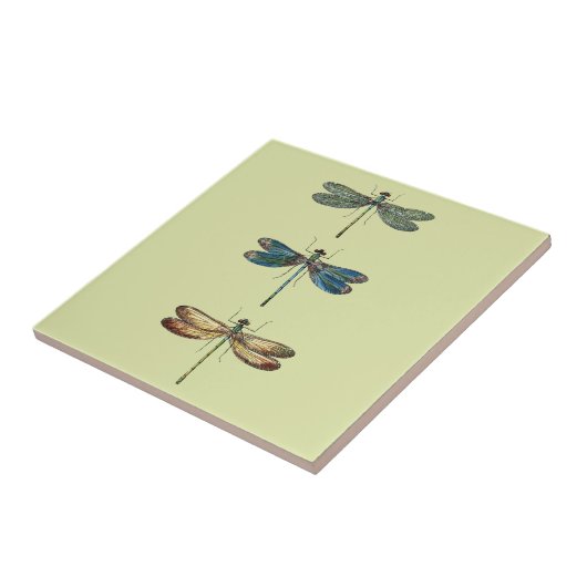 Libellen-Illustrationen Fliese (Seite)