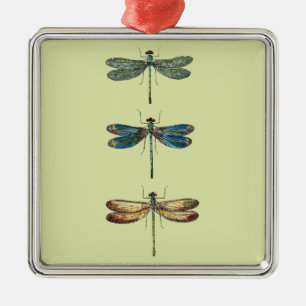 Libellen-Illustrationen Ornament Aus Metall