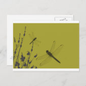 Libellen im Gras Postkarte (Vorne/Hinten)