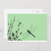 Libellen im Gras Postkarte (Vorne/Hinten)