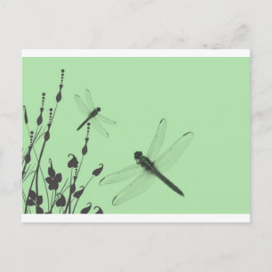 Libellen im Gras Postkarte