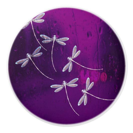 Libellen im Wasser Keramikknauf (Vorderseite)