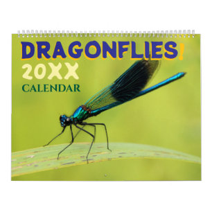 Libellen in der Natur Wand Kalender