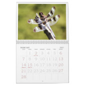 Libellen-Kalender 2011 Kalender (Feb 2027)