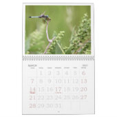 Libellen-Kalender 2011 Kalender (Mär 2027)