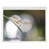 Libellen-Kalender 2011 Kalender (Titelbild)