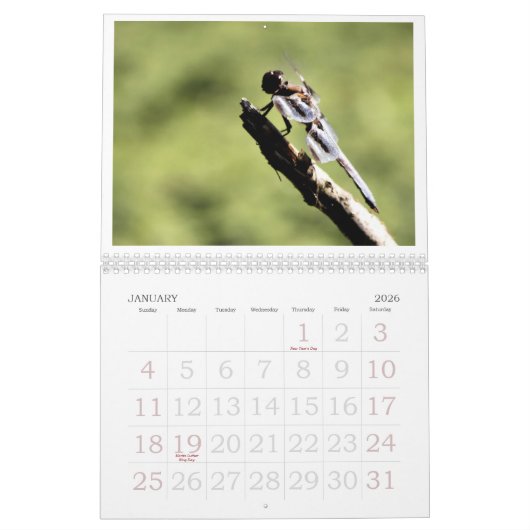 Libellen-Kalender 2011 Kalender (Jan 2026)