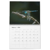 Libellen-Kalender 2016 durch Steve Borichevsky Kalender (Feb 2026)