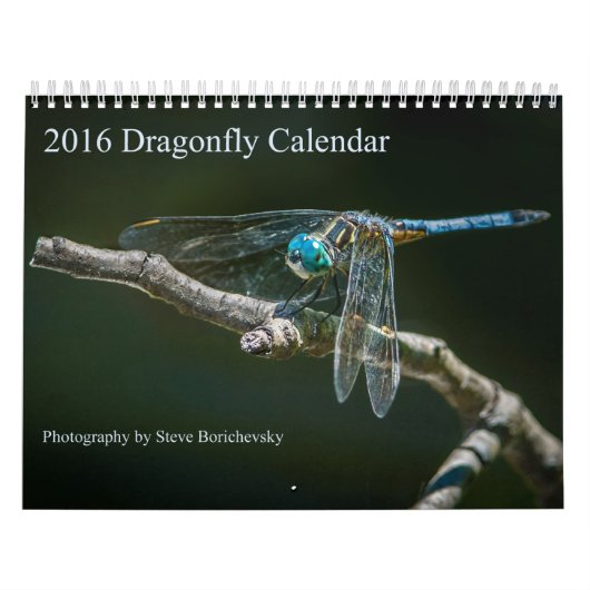 Libellen-Kalender 2016 durch Steve Borichevsky Kalender (Titelbild)